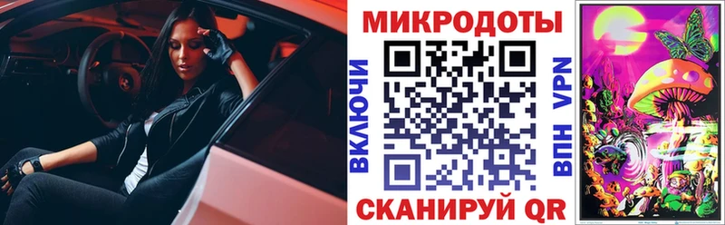 Галлюциногенные грибы Psilocybe Королёв